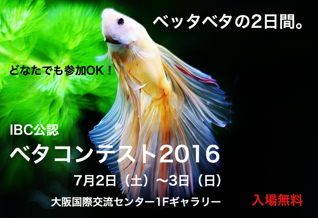 イベント】いよいよ出品者受付開始！☆「ベタコンテスト2016」まであと1カ月 キワメテ！水族館