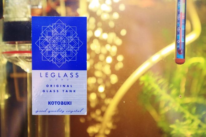 春の新製品】アクアリウムがさらに進化☆KOTOBUKIのレグラスシリーズにハイタイプ新登場 | キワメテ！水族館