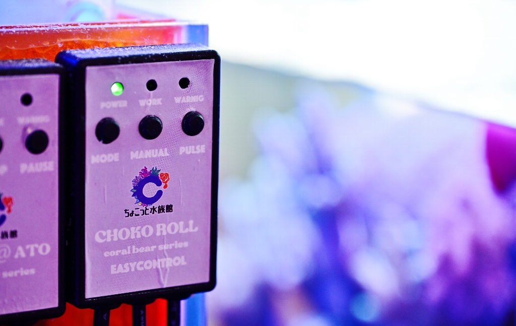 ショップ】タカラヅカに海出現！？☆進化が止まらないマリンアクア