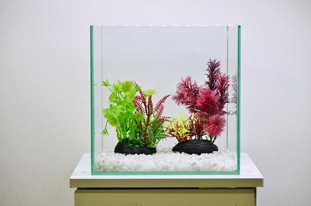春の新製品】置くだけで簡単に水草水槽☆KOTOBUKIの「ポンっと