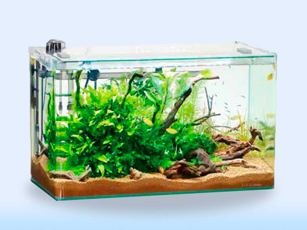 3300736736f6e6ee9a33ec487cce61