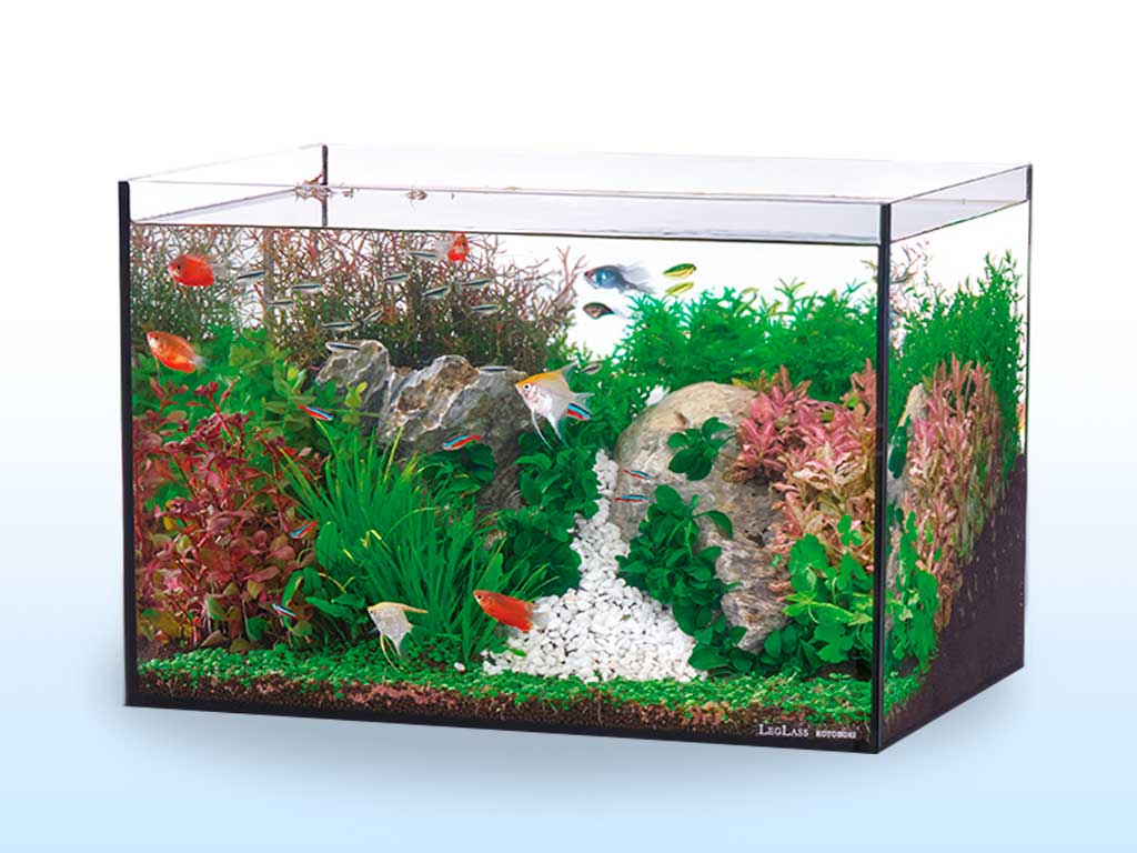 8eaa42cb72671dcdba14b8ecd30fb4